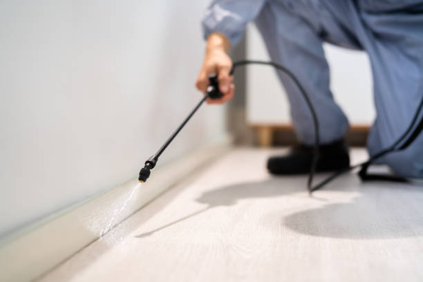 Licensed Cockroach Control service in Columbus, OH - Nex Pest Control