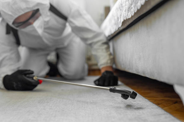 Professional Cockroach Control technician working in Columbus, OH