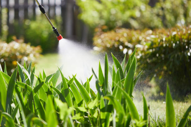 24/7 Emergency Cockroach Control experts in Columbus, OH
