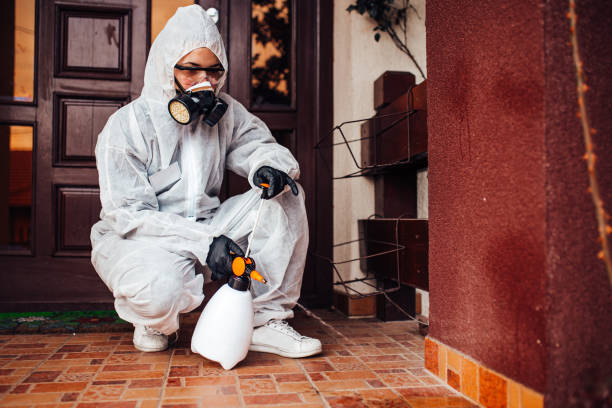 Reliable Cockroach Control contractor in Columbus, OH by Nex Pest Control